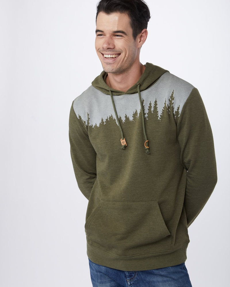 OLIVE NIGHT_gallery